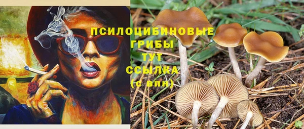 сатива Армянск