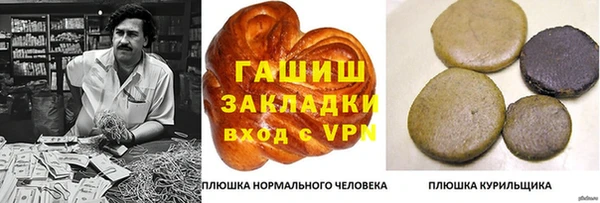 сатива Армянск